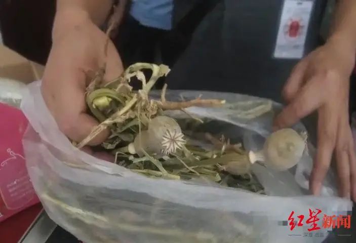 吃米线竟被验出吸毒，3人大呼冤枉！一查……休闲区蓝鸢梦想 - Www.slyday.coM