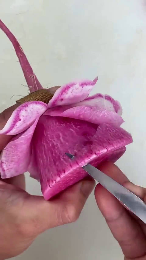 心里美萝卜雕刻秒变一朵花精湛啊