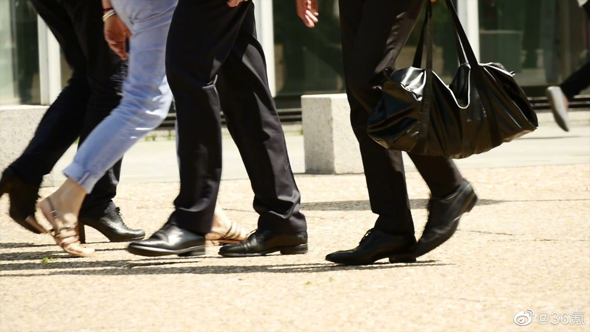 我国已发现660多种外来入侵物种，入境旅客的鞋底也可能成为外来物种入侵的途径休闲区蓝鸢梦想 - Www.slyday.coM