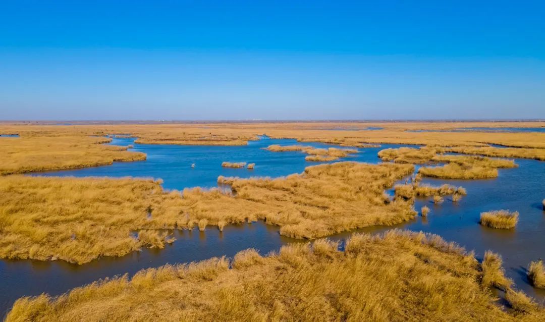 宁河七里海金色湿地生态乐园