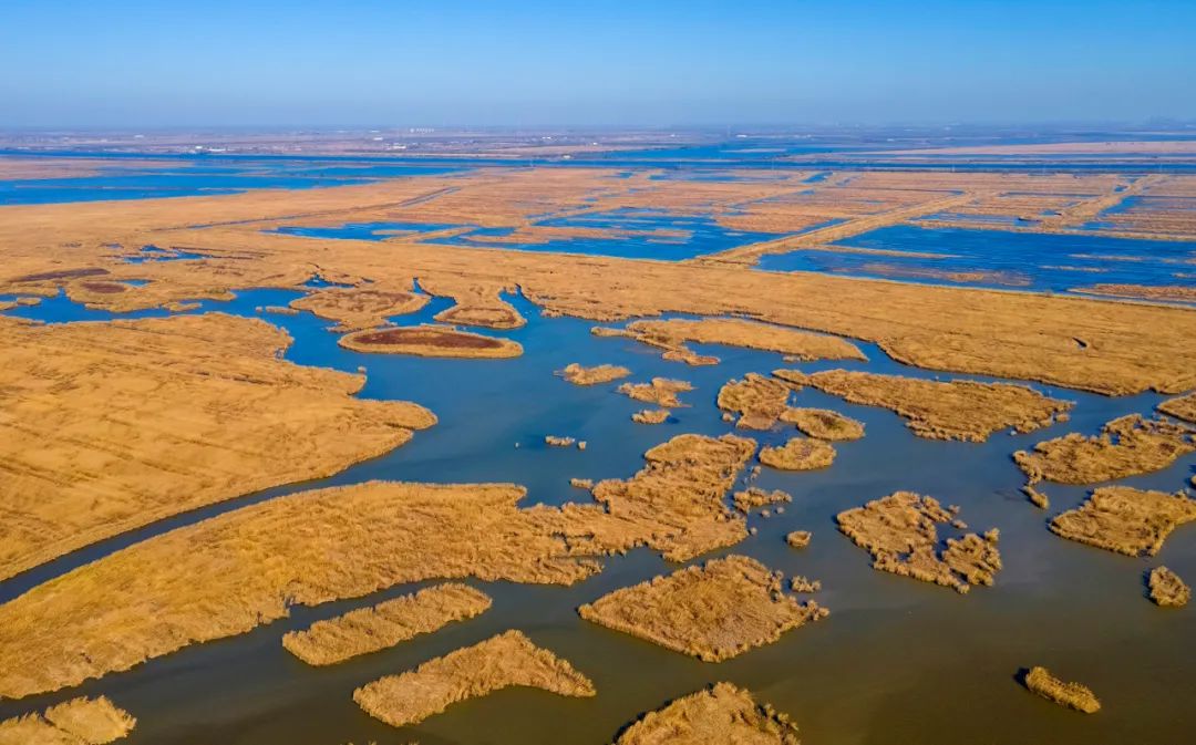 宁河七里海金色湿地生态乐园