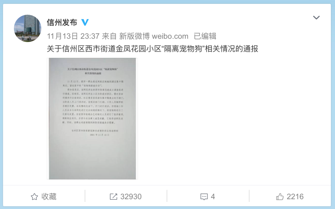 主人集中隔离，家中宠物狗遭扑杀？官方深夜通报