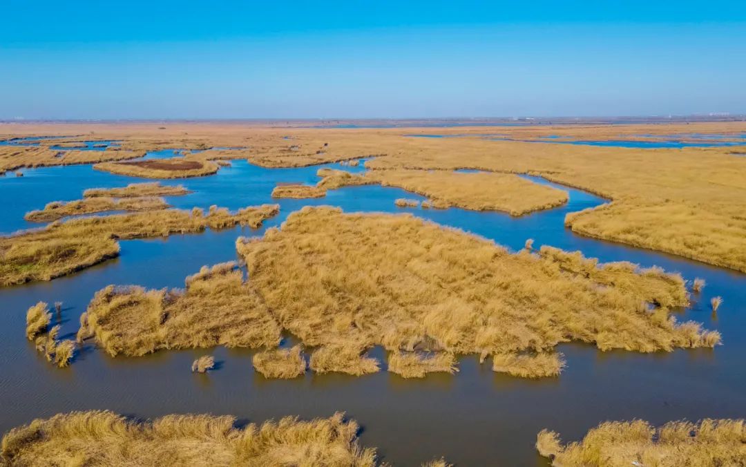 宁河七里海金色湿地生态乐园