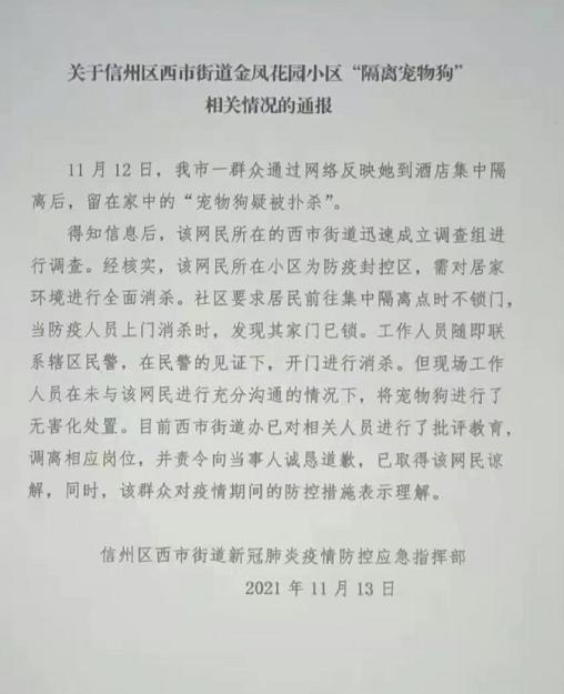 上饶市信州区回应“隔离宠物狗疑被扑杀”：工作人员进行了无害化处置，已被调岗并责令诚恳道歉休闲区蓝鸢梦想 - Www.slyday.coM
