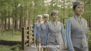 高铁奶茶“那个女孩”已上线休闲区蓝鸢梦想 - Www.slyday.coM