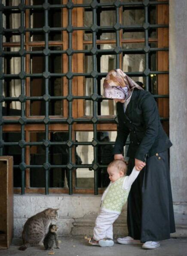 【名嘴手一滑】张宸：当人类幼崽遇上了宠物休闲区蓝鸢梦想 - Www.slyday.coM