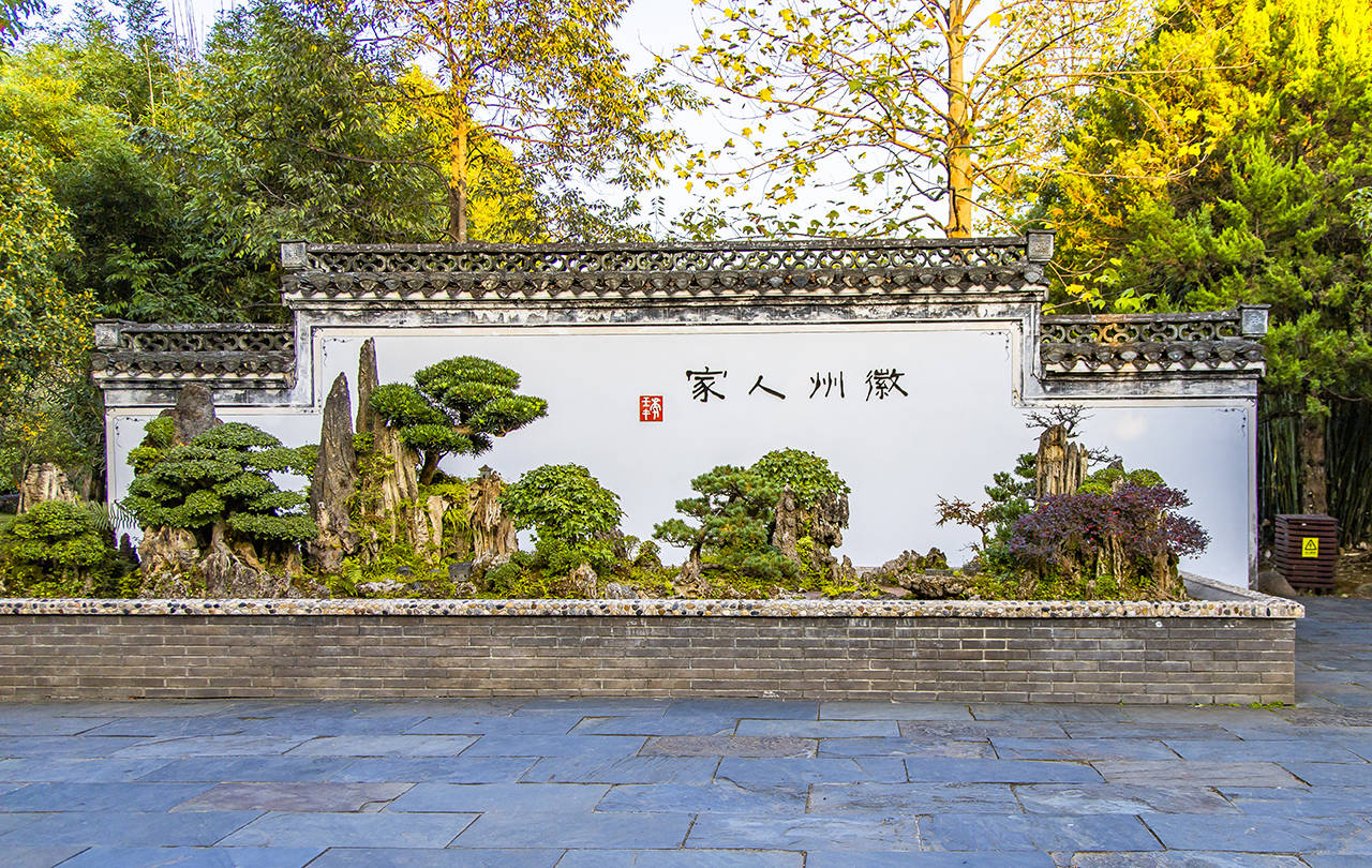 实力宠娃的鲍家花园,中国最大的私家园林盆景观赏地|鲍家花园|盆景|私