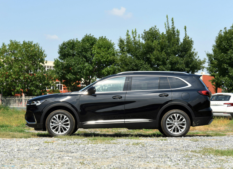 预算30万内，昂科威PLUS和昂科旗，同样7座选哪个？