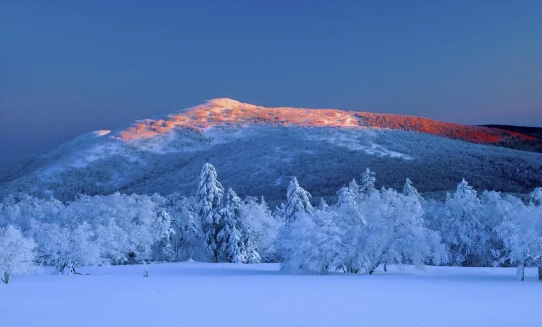 享雪乡雪村踏林海雪原这里是雪城牡丹江