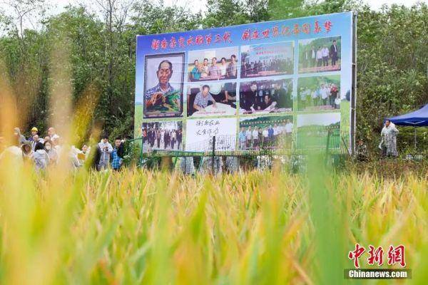 送别！袁隆平院士今日安葬，仪式上的这句话看哭了……休闲区蓝鸢梦想 - Www.slyday.coM