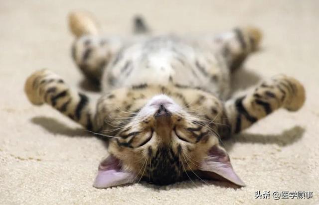 男性睡眠不足5小时心血管风险更高休闲区蓝鸢梦想 - Www.slyday.coM