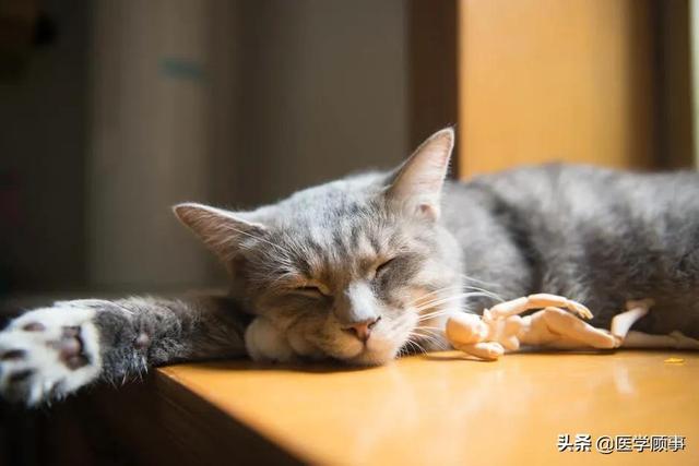 男性睡眠不足5小时心血管风险更高休闲区蓝鸢梦想 - Www.slyday.coM