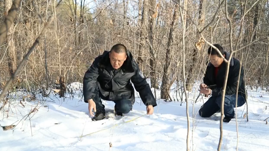 方正 去做核酸的路上，村民发现神秘脚印！疑似是它……休闲区蓝鸢梦想 - Www.slyday.coM