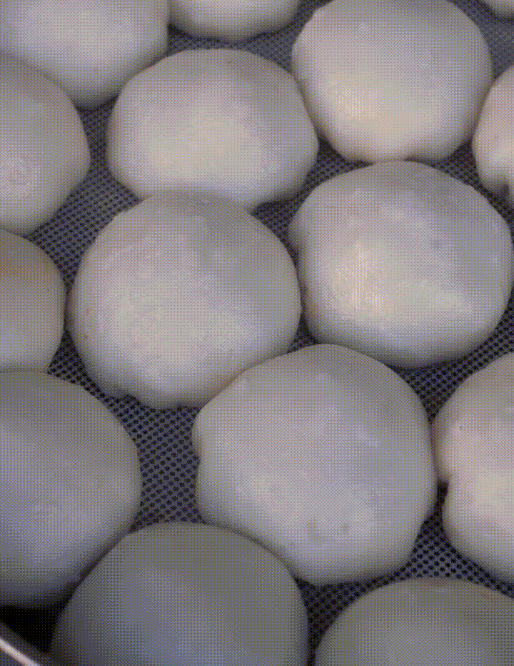 连城这种像"拳头"的桃,不是水果…__财经头条