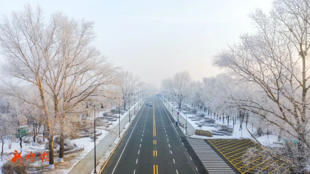 哈尔滨人注意！雨雪+大风+降温，时间↘休闲区蓝鸢梦想 - Www.slyday.coM