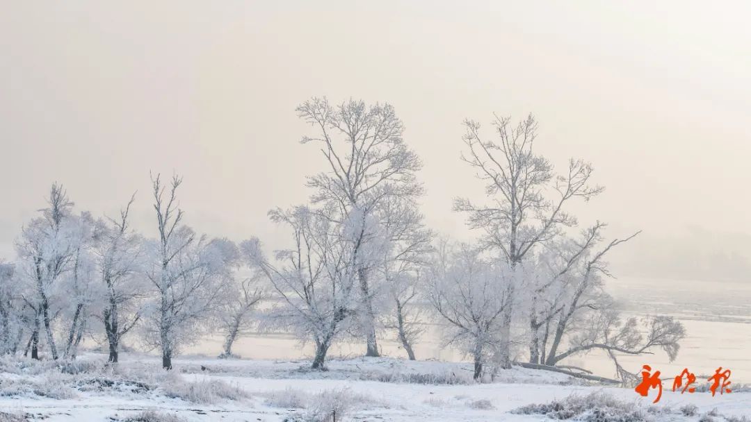 哈尔滨人注意！雨雪+大风+降温，时间↘休闲区蓝鸢梦想 - Www.slyday.coM