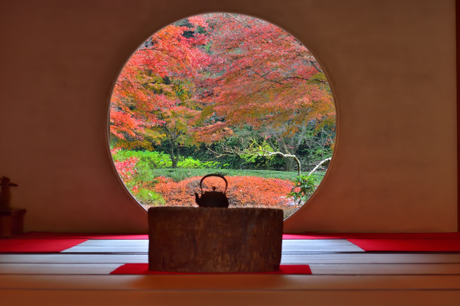 秋天来了,寻访红叶醉人之美|镰仓|寺庙|红叶_新浪新闻