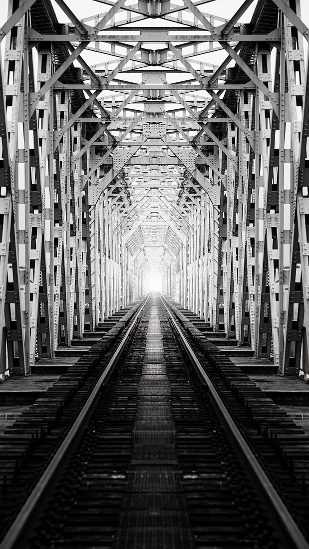 壁纸集让光影在经典黑白间开出繁花