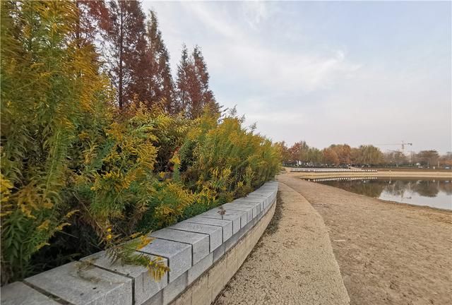 “恶魔之花”入侵河南,郑州或会“失控”,加拿大一枝花有多毒?休闲区蓝鸢梦想 - Www.slyday.coM “恶魔之花”入侵河南,郑州或会“失控”,加拿大一枝花有多毒?休闲区蓝鸢梦想 - Www.slyday.coM