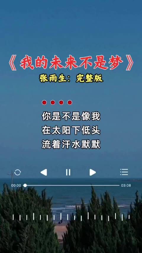 永远的经典张雨生我的未来不是梦音乐