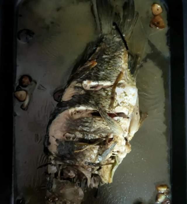 蒸鱼7分钟最鲜嫩?是新手易犯的错,大厨教你正确做法,一学就会休闲区蓝鸢梦想 - Www.slyday.coM 蒸鱼7分钟最鲜嫩?是新手易犯的错,大厨教你正确做法,一学就会休闲区蓝鸢梦想 - Www.slyday.coM