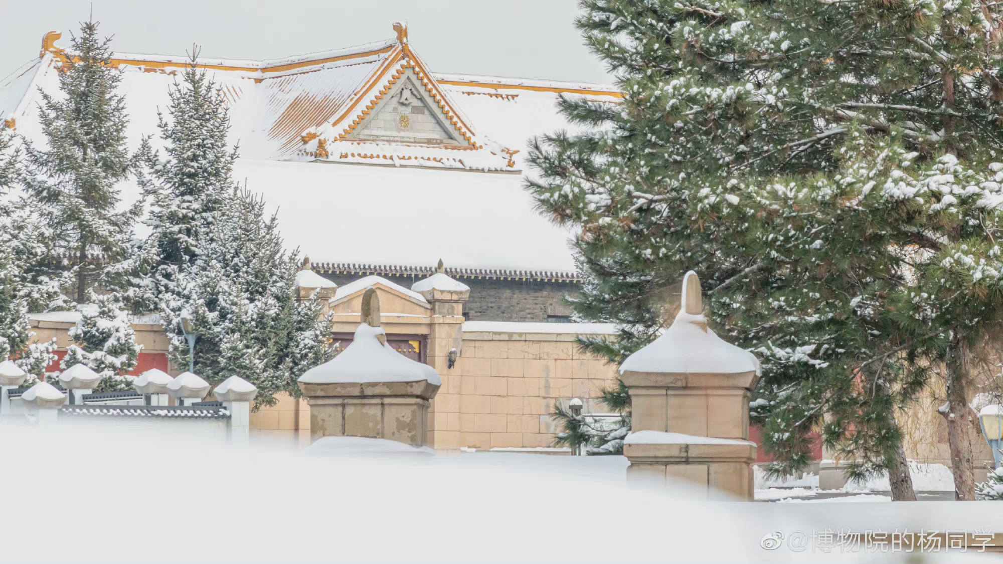 长春伪满皇宫冬日雪景小松鼠也太可爱了