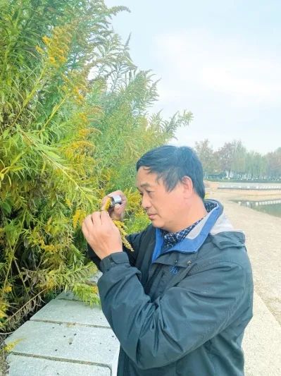 危害严重！见到它请立即上报，河南多地已发现休闲区蓝鸢梦想 - Www.slyday.coM