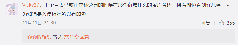 危害严重！见到它请立即上报，河南多地已发现休闲区蓝鸢梦想 - Www.slyday.coM