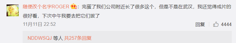 危害严重！见到它请立即上报，河南多地已发现休闲区蓝鸢梦想 - Www.slyday.coM