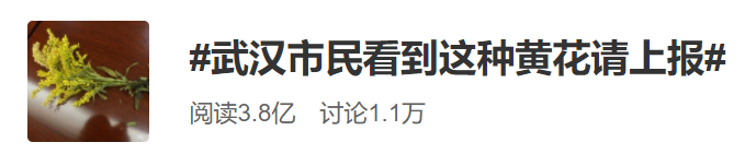 危害严重！见到它请立即上报，河南多地已发现休闲区蓝鸢梦想 - Www.slyday.coM
