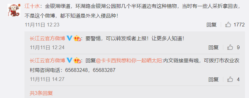 危害严重！见到它请立即上报，河南多地已发现休闲区蓝鸢梦想 - Www.slyday.coM