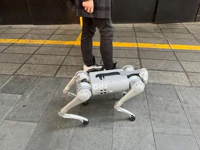 火遍上海的机器狗我们找到了它的主人