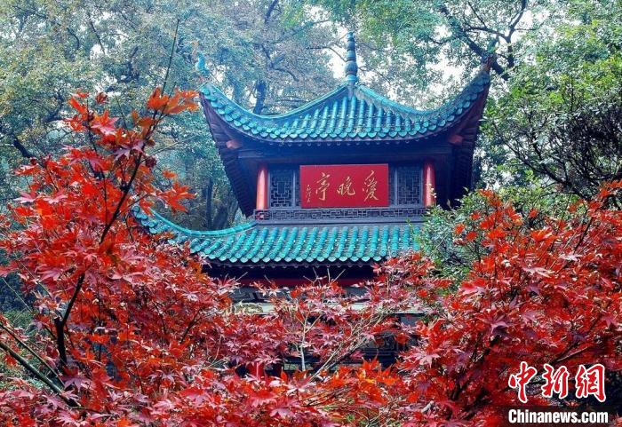 岳麓山爱晚亭. 唐竟淳 摄