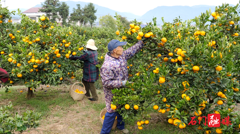 兴县开展“一村一网红”电商直播培训 助力乡村振兴