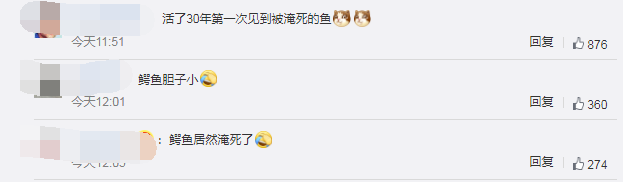 200斤鳄鱼被吓后待水里溺死！养殖人员：它胆子很小休闲区蓝鸢梦想 - Www.slyday.coM