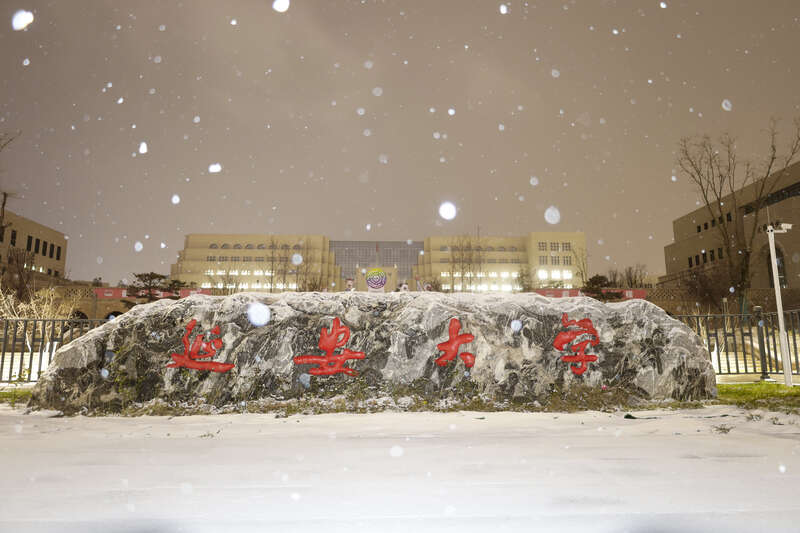 青年眼|延安大学雪景|延安大学|枝丫|雪景_新浪新闻