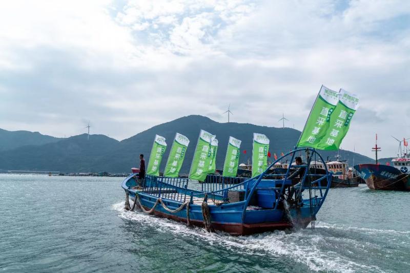 帮助养殖户提供稳定销售渠道，美团买菜“巴掌鲍”30分钟到家休闲区蓝鸢梦想 - Www.slyday.coM