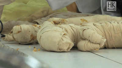 你会把宠物做成木乃伊吗?