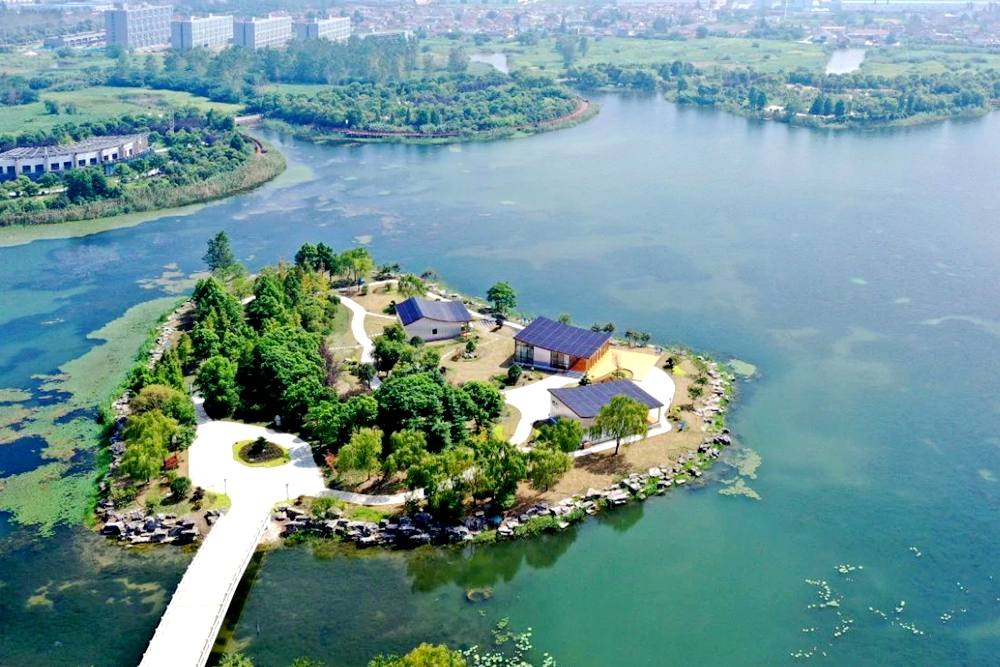 聚焦实现"双碳"目标——"海陵方案"背后的战略考量__财经头条