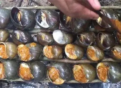 危害严重！见到它请立即上报，河南多地已发现休闲区蓝鸢梦想 - Www.slyday.coM