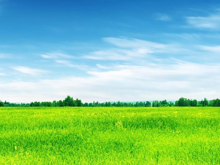 12月,富贵加身,横财扑面来,生活幸福美满,好运连连的星座