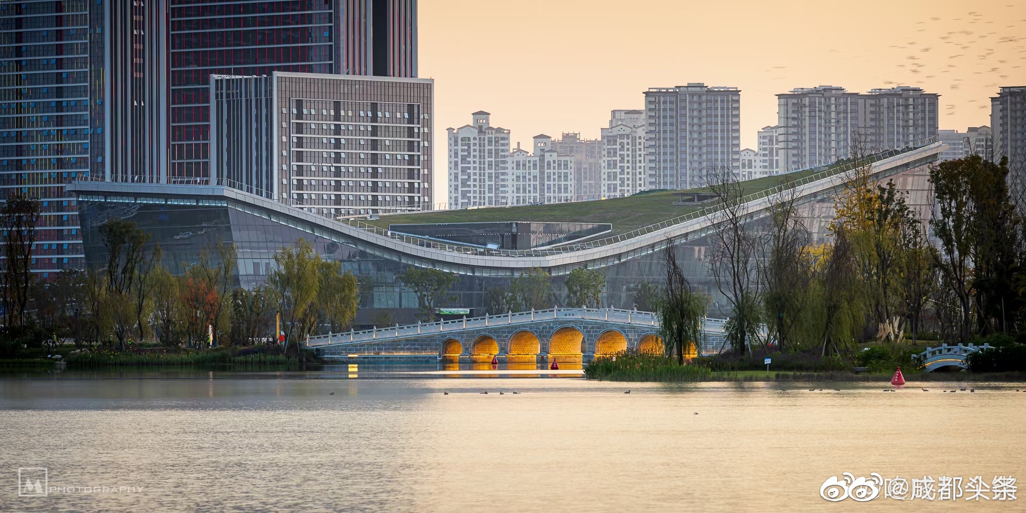 坐标成都龙泉驿区东安湖体育公园上新啦