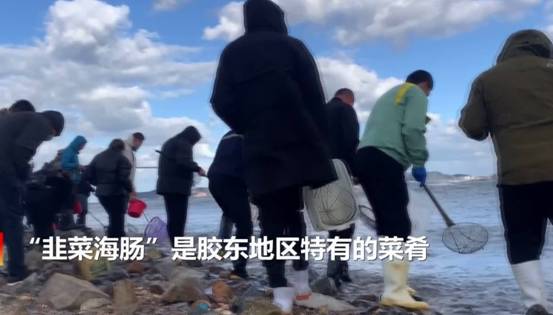 捡完海肠又捡蛏子!烟台海滩大风不断送来“海货”,一晚能赚2万休闲区蓝鸢梦想 - Www.slyday.coM 捡完海肠又捡蛏子!烟台海滩大风不断送来“海货”,一晚能赚2万休闲区蓝鸢梦想 - Www.slyday.coM