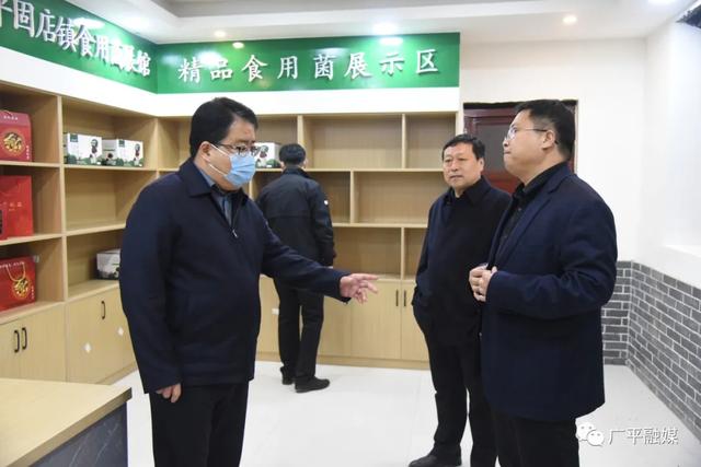 邯郸广平:张建涛调研重点项目建设,储备粮工作,农业产业转型升级,空心