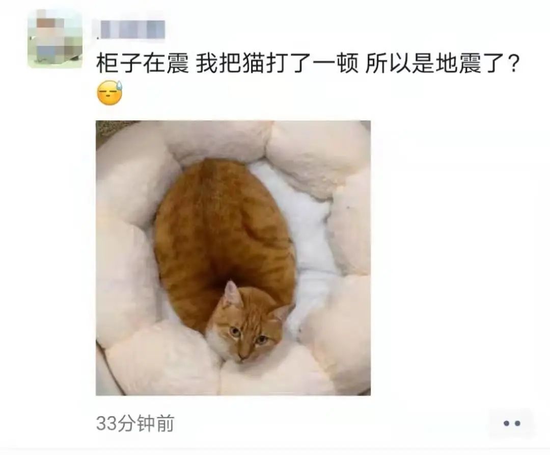 江苏盐城海域发生5.0级地震，朋友圈震感强烈休闲区蓝鸢梦想 - Www.slyday.coM