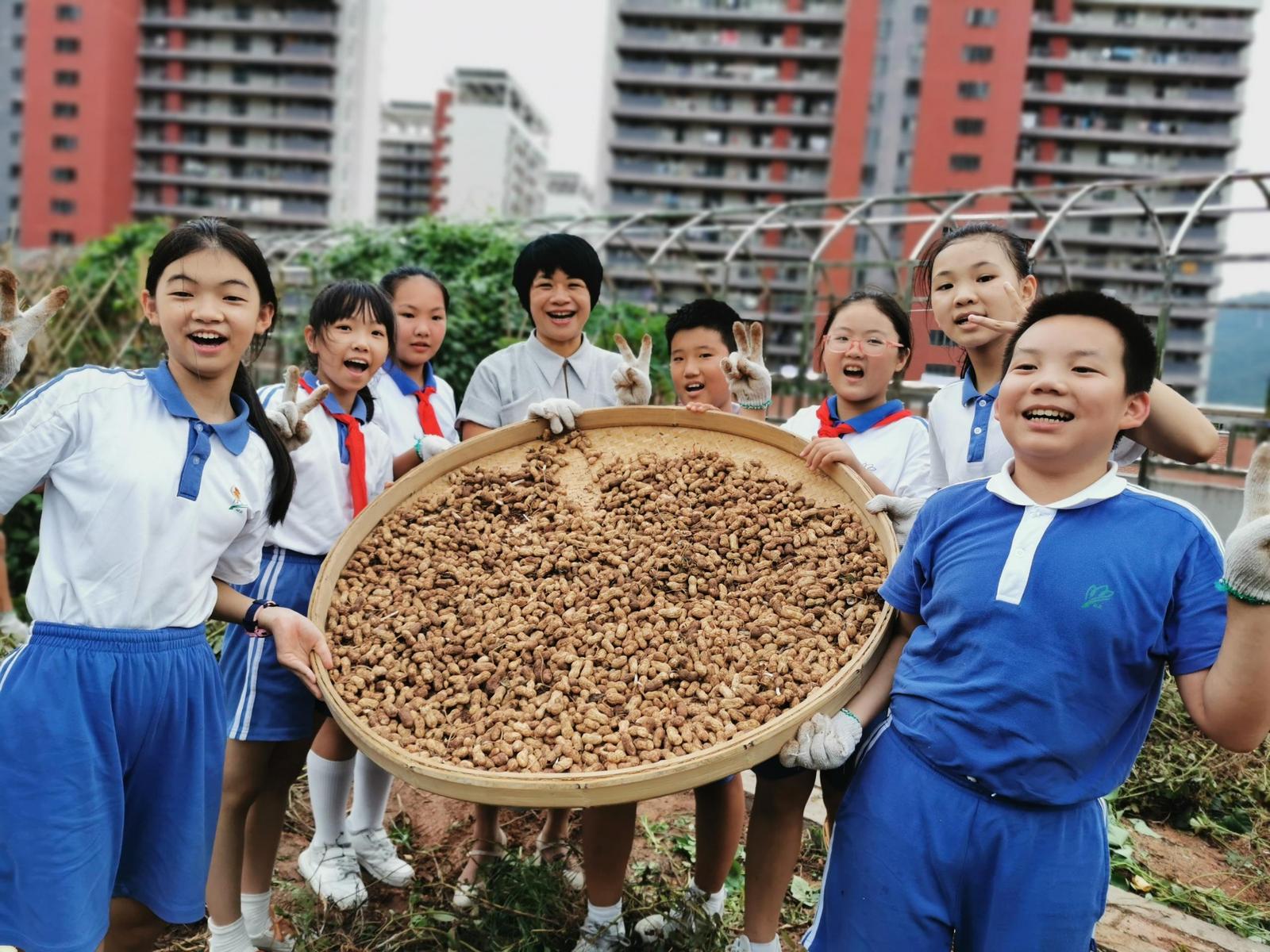 深圳龙华玉龙学校图片