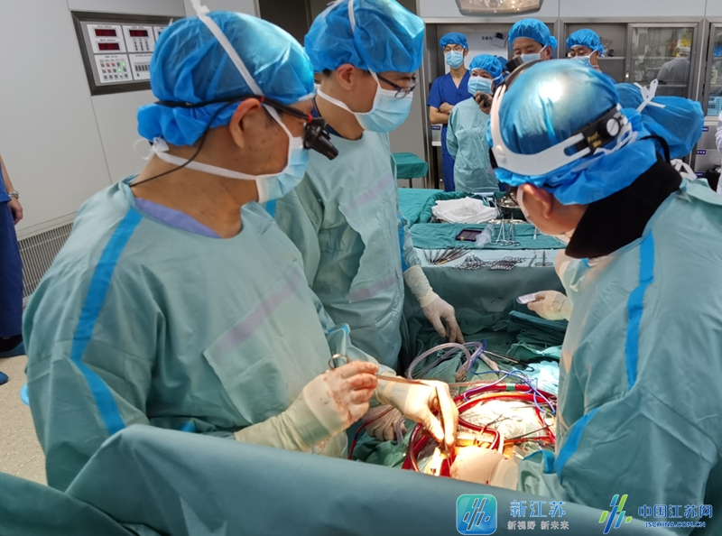 河西院区首例！南京市第一医院顺利完成第125例心脏移植手术休闲区蓝鸢梦想 - Www.slyday.coM