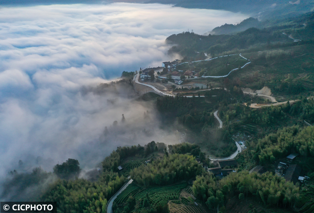 2021年11月14日拍摄的浙江省丽水市景宁畲族自治县景南乡上标村云海