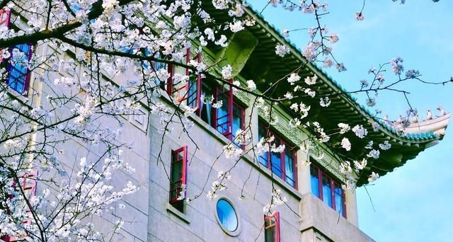 中国最美樱花高校在哪里?武大当仁不让,西安交大一枝独秀休闲区蓝鸢梦想 - Www.slyday.coM 中国最美樱花高校在哪里?武大当仁不让,西安交大一枝独秀休闲区蓝鸢梦想 - Www.slyday.coM