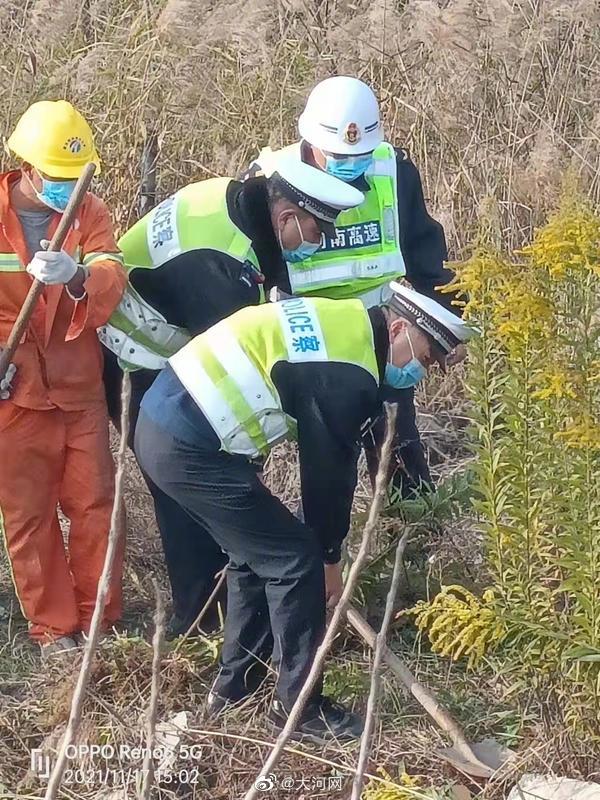 开封高速交警焚烧37株疑似加拿大一枝黄花休闲区蓝鸢梦想 - Www.slyday.coM